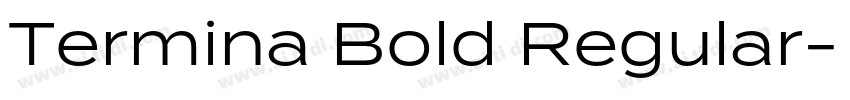 Termina Bold Regular字体转换